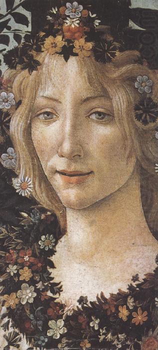 Primavera (mk36), Sandro Botticelli